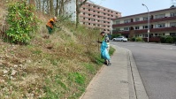 Zwei Mitarbeiter beim Müllsammeln an der Böschung Danziger Straße.
