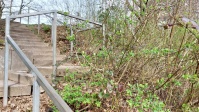 Böschung neben Treppe Danziger Straße nach dem Einsammeln von Müll.