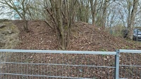Böschung und Hecke vor der Reinigung, Gitter im Vordergrund