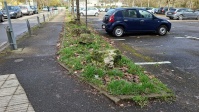 Randstreifen mit Müll , links Gehweg, rechts Parkplatz mit Fahrzeugen