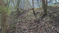 saubere Böschung am Spielplatz, Laub auf dem Boden, vorne Gitter